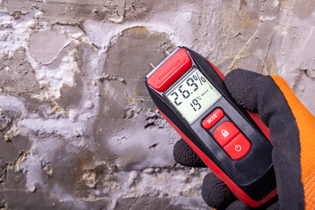 Best Same-Day Mold Removal  in Baldwin, GA