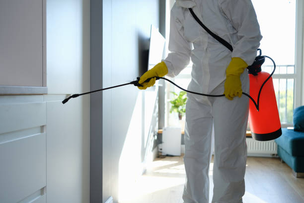 Best Professional Mold Removal  in Baldwin, GA
