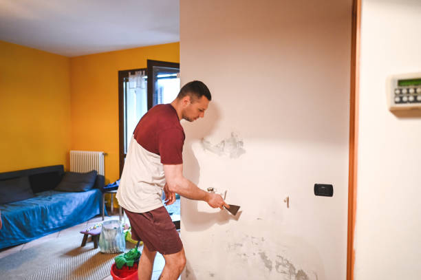 Best Home Mold Removal  in Baldwin, GA